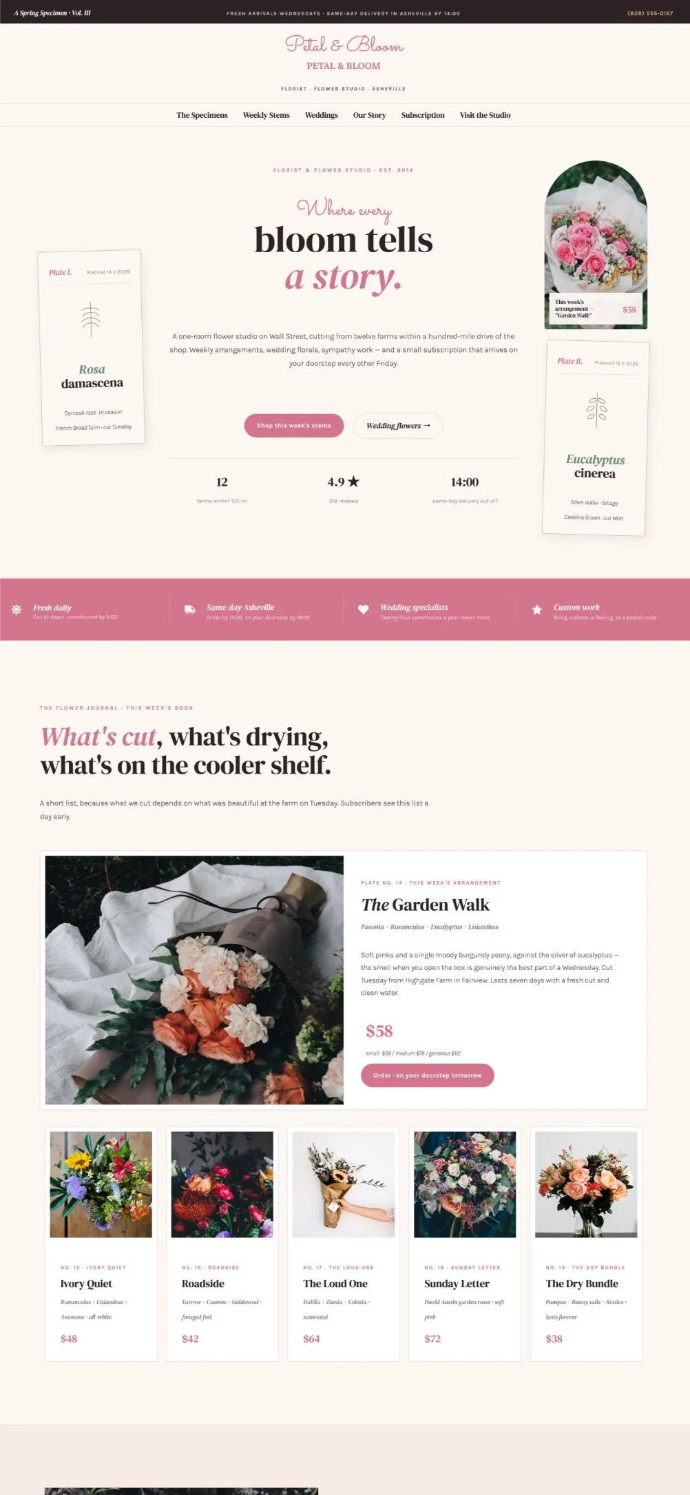 Petal Bloom template preview